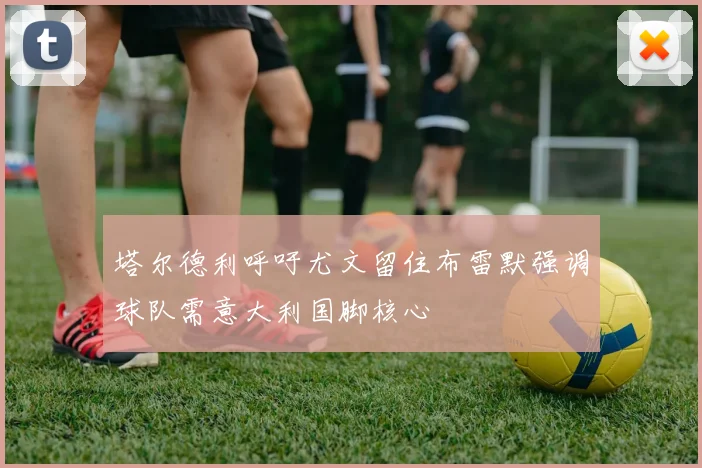 塔尔德利呼吁尤文留住布雷默强调球队需意大利国脚核心